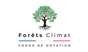 log-activites-forets- log activites forets