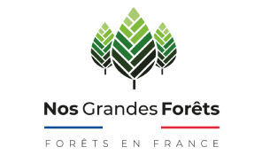log-activites-forets-2 log activites forets 2